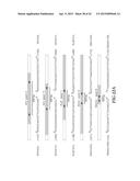 NUCLEIC ACID AMPLIFICATION PRIMERS FOR PCR-BASED CLONALITY STUDIES diagram and image