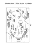 MASS SPECTROMETRY IMAGING OF GLYCANS FROM TISSUE SECTIONS AND IMPROVED     ANALYTE DETECTION METHODS diagram and image