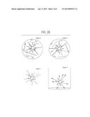 BEAD EMULSION NUCLEIC ACID AMPLIFICATION diagram and image