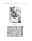 BEAD EMULSION NUCLEIC ACID AMPLIFICATION diagram and image