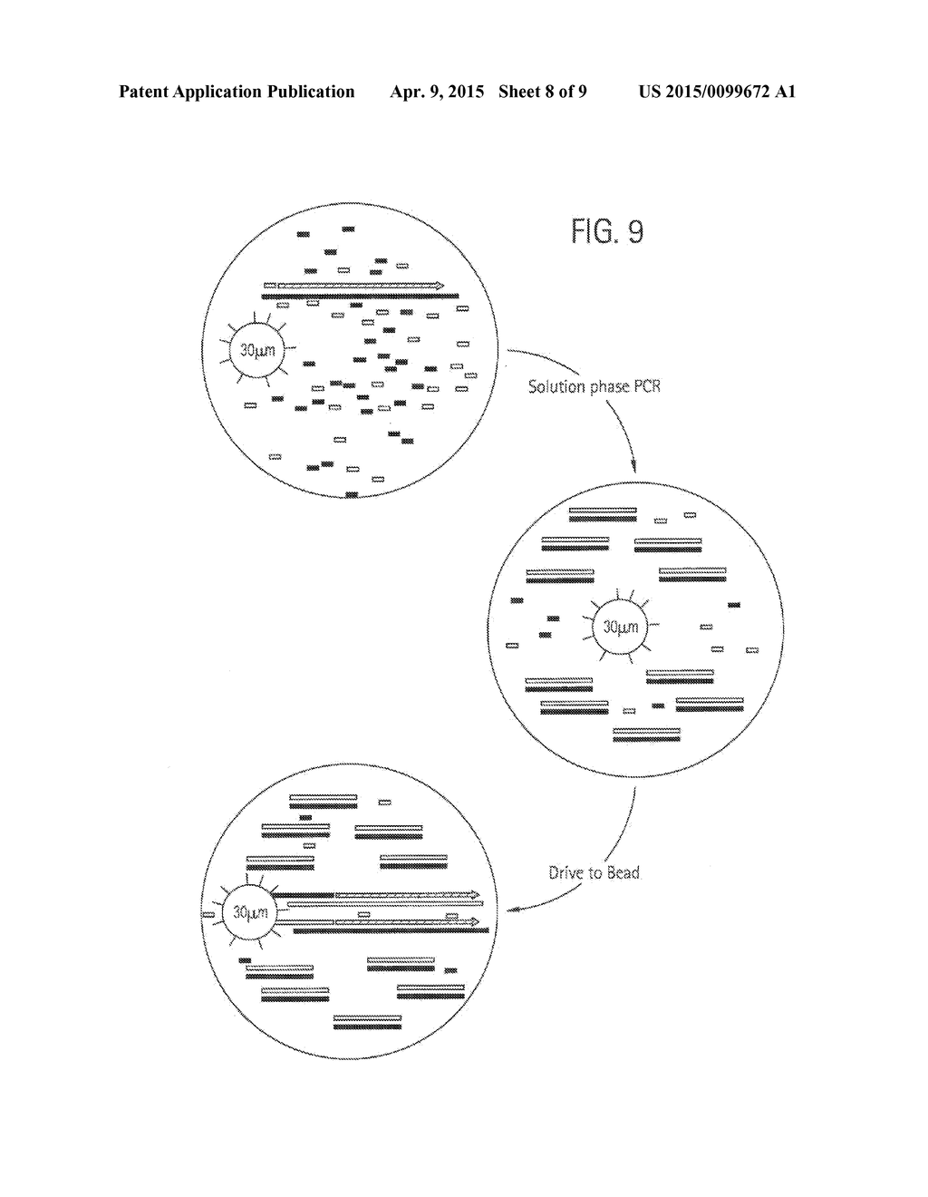 BEAD EMULSION NUCLEIC ACID AMPLIFICATION - diagram, schematic, and image 09