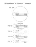 BEAD EMULSION NUCLEIC ACID AMPLIFICATION diagram and image