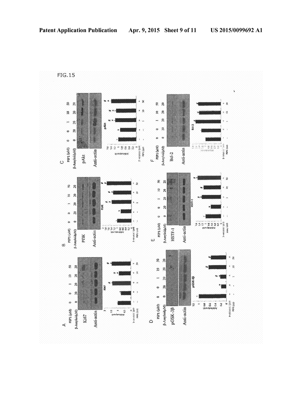 Anti-Inflammatory Peptides and Composition Comprising the Same - diagram, schematic, and image 10