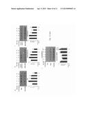 Anti-Inflammatory Peptides and Composition Comprising the Same diagram and image