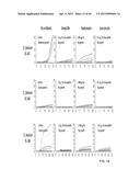 IDENTIFICATION AND SUSCEPTIBILITY OF MICROORGANISMS BY SPECIES AND STRAIN diagram and image