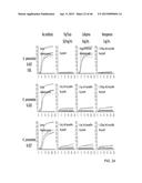 IDENTIFICATION AND SUSCEPTIBILITY OF MICROORGANISMS BY SPECIES AND STRAIN diagram and image