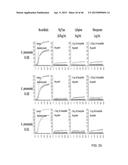 IDENTIFICATION AND SUSCEPTIBILITY OF MICROORGANISMS BY SPECIES AND STRAIN diagram and image