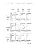 IDENTIFICATION AND SUSCEPTIBILITY OF MICROORGANISMS BY SPECIES AND STRAIN diagram and image