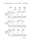 IDENTIFICATION AND SUSCEPTIBILITY OF MICROORGANISMS BY SPECIES AND STRAIN diagram and image