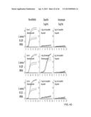 IDENTIFICATION AND SUSCEPTIBILITY OF MICROORGANISMS BY SPECIES AND STRAIN diagram and image