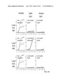 IDENTIFICATION AND SUSCEPTIBILITY OF MICROORGANISMS BY SPECIES AND STRAIN diagram and image