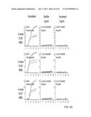 IDENTIFICATION AND SUSCEPTIBILITY OF MICROORGANISMS BY SPECIES AND STRAIN diagram and image