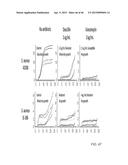 IDENTIFICATION AND SUSCEPTIBILITY OF MICROORGANISMS BY SPECIES AND STRAIN diagram and image