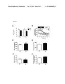 C1q/TNF-RELATED PROTEIN-9 (CTRP9) AND USE IN PREVENTION AND TREATMENT OF     METABOLIC DISORDERS diagram and image