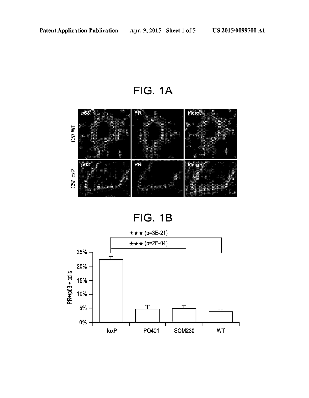 METHODS FOR DETECTING PROGENITOR CELLS AND USES THEREOF - diagram, schematic, and image 02