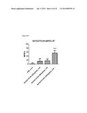 PROTOXIN -II VARIANTS AND METHODS OF USE diagram and image