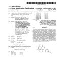 3-ARYL-5-SUBSTITUTED-ISOQUINOLIN-1-ONE COMPOUNDS AND THEIR THERAPEUTIC USE diagram and image