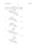 3-ARYL-5-SUBSTITUTED-ISOQUINOLIN-1-ONE COMPOUNDS AND THEIR THERAPEUTIC USE diagram and image