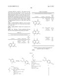 3-ARYL-5-SUBSTITUTED-ISOQUINOLIN-1-ONE COMPOUNDS AND THEIR THERAPEUTIC USE diagram and image