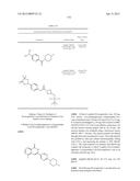 3-ARYL-5-SUBSTITUTED-ISOQUINOLIN-1-ONE COMPOUNDS AND THEIR THERAPEUTIC USE diagram and image