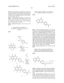 3-ARYL-5-SUBSTITUTED-ISOQUINOLIN-1-ONE COMPOUNDS AND THEIR THERAPEUTIC USE diagram and image