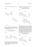 3-ARYL-5-SUBSTITUTED-ISOQUINOLIN-1-ONE COMPOUNDS AND THEIR THERAPEUTIC USE diagram and image