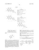 3-ARYL-5-SUBSTITUTED-ISOQUINOLIN-1-ONE COMPOUNDS AND THEIR THERAPEUTIC USE diagram and image