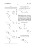 3-ARYL-5-SUBSTITUTED-ISOQUINOLIN-1-ONE COMPOUNDS AND THEIR THERAPEUTIC USE diagram and image