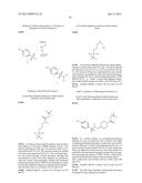 3-ARYL-5-SUBSTITUTED-ISOQUINOLIN-1-ONE COMPOUNDS AND THEIR THERAPEUTIC USE diagram and image