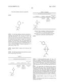 3-ARYL-5-SUBSTITUTED-ISOQUINOLIN-1-ONE COMPOUNDS AND THEIR THERAPEUTIC USE diagram and image