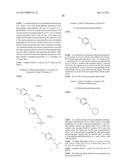 3-ARYL-5-SUBSTITUTED-ISOQUINOLIN-1-ONE COMPOUNDS AND THEIR THERAPEUTIC USE diagram and image