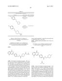 3-ARYL-5-SUBSTITUTED-ISOQUINOLIN-1-ONE COMPOUNDS AND THEIR THERAPEUTIC USE diagram and image