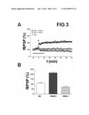 Beta-Amyloid-Directed Multitarget Compounds For The Treatment Of     Alzheimer s Disease diagram and image