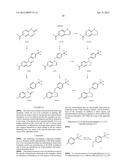 ROR MODULATORS AND THEIR USES diagram and image