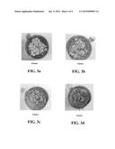 PROCESS FOR COAGULATING SULFONATED BLOCK COPOLYMERS diagram and image