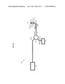 OPTICAL COHERENCE TOMOGRAPHY WITH GRADED INDEX FIBER FOR BIOLOGICAL     IMAGING diagram and image