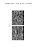 BIOMIMMETIC NANOFIBER SCAFFOLD FOR SOFT TISSUE AND SOFT TISSUE-TO-BONE     REPAIR, AUGMENTATION AND REPLACEMENT diagram and image