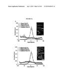 BIOMIMMETIC NANOFIBER SCAFFOLD FOR SOFT TISSUE AND SOFT TISSUE-TO-BONE     REPAIR, AUGMENTATION AND REPLACEMENT diagram and image