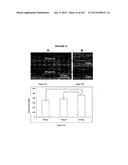 BIOMIMMETIC NANOFIBER SCAFFOLD FOR SOFT TISSUE AND SOFT TISSUE-TO-BONE     REPAIR, AUGMENTATION AND REPLACEMENT diagram and image