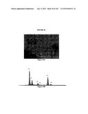 BIOMIMMETIC NANOFIBER SCAFFOLD FOR SOFT TISSUE AND SOFT TISSUE-TO-BONE     REPAIR, AUGMENTATION AND REPLACEMENT diagram and image