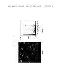 BIOMIMMETIC NANOFIBER SCAFFOLD FOR SOFT TISSUE AND SOFT TISSUE-TO-BONE     REPAIR, AUGMENTATION AND REPLACEMENT diagram and image