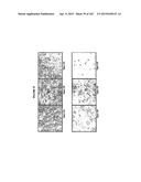 BIOMIMMETIC NANOFIBER SCAFFOLD FOR SOFT TISSUE AND SOFT TISSUE-TO-BONE     REPAIR, AUGMENTATION AND REPLACEMENT diagram and image