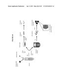 BIOMIMMETIC NANOFIBER SCAFFOLD FOR SOFT TISSUE AND SOFT TISSUE-TO-BONE     REPAIR, AUGMENTATION AND REPLACEMENT diagram and image