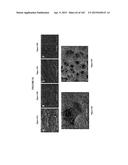 BIOMIMMETIC NANOFIBER SCAFFOLD FOR SOFT TISSUE AND SOFT TISSUE-TO-BONE     REPAIR, AUGMENTATION AND REPLACEMENT diagram and image