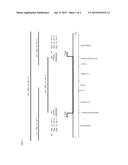 TRANSGENIC CORN EVENT MON87403 AND METHODS FOR DETECTION THEREOF diagram and image