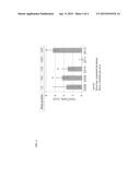 TRANSGENIC CORN EVENT MON87403 AND METHODS FOR DETECTION THEREOF diagram and image