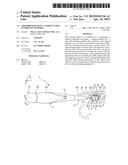 TOOTHBRUSH HAVING A TERMINAL ROW OF BRISTLES OR SPIKES diagram and image