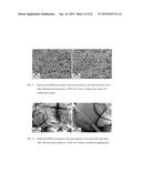 Recrystallization, Refinement, and Strengthening Mechanisms For Production     Of Advanced High Strength Metal Alloys diagram and image