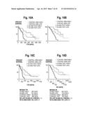 Classification Generation Method Using Combination of Mini-Classifiers     with Regularization and Uses Thereof diagram and image