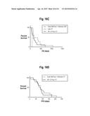 Classification Generation Method Using Combination of Mini-Classifiers     with Regularization and Uses Thereof diagram and image